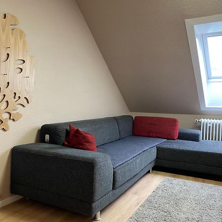 S-Villa Apartments Im Schwarzwald Schiltach Dış mekan fotoğraf