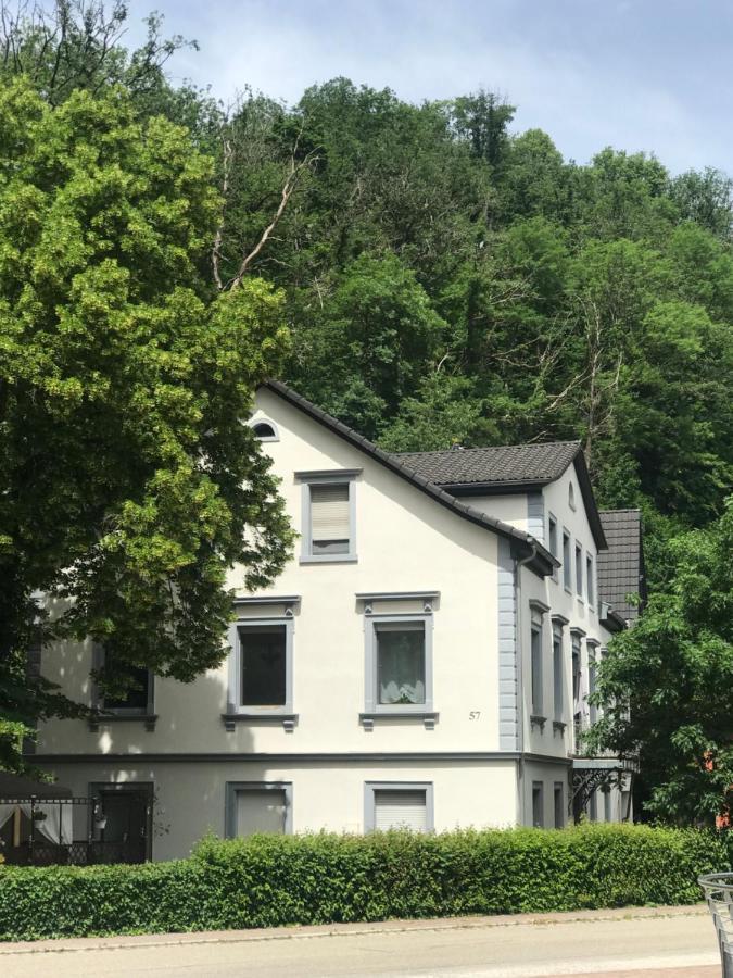 S-Villa Apartments Im Schwarzwald Schiltach Dış mekan fotoğraf