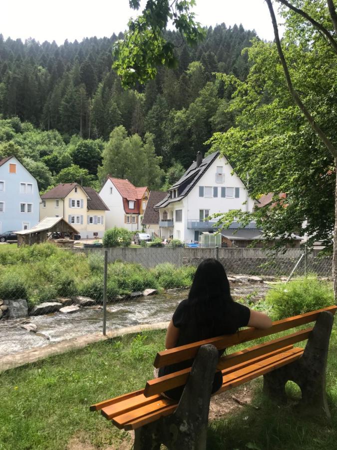 S-Villa Apartments Im Schwarzwald Schiltach Dış mekan fotoğraf
