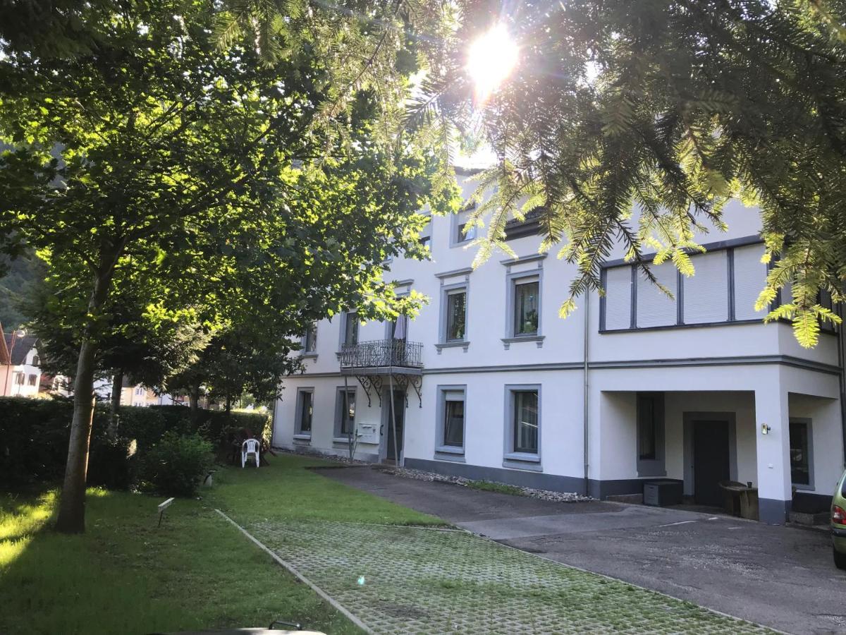 S-Villa Apartments Im Schwarzwald Schiltach Dış mekan fotoğraf