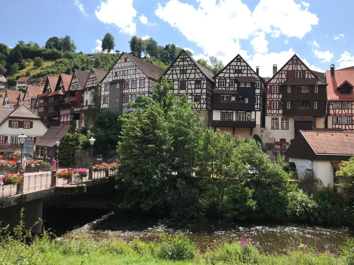 S-Villa Apartments Im Schwarzwald Schiltach Dış mekan fotoğraf