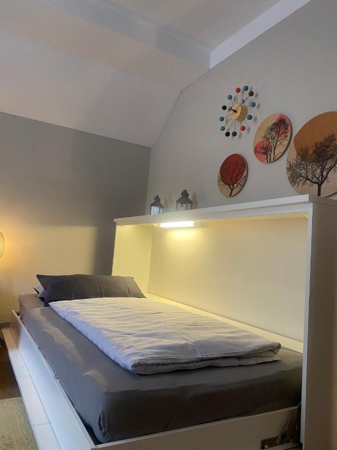 S-Villa Apartments Im Schwarzwald Schiltach Dış mekan fotoğraf