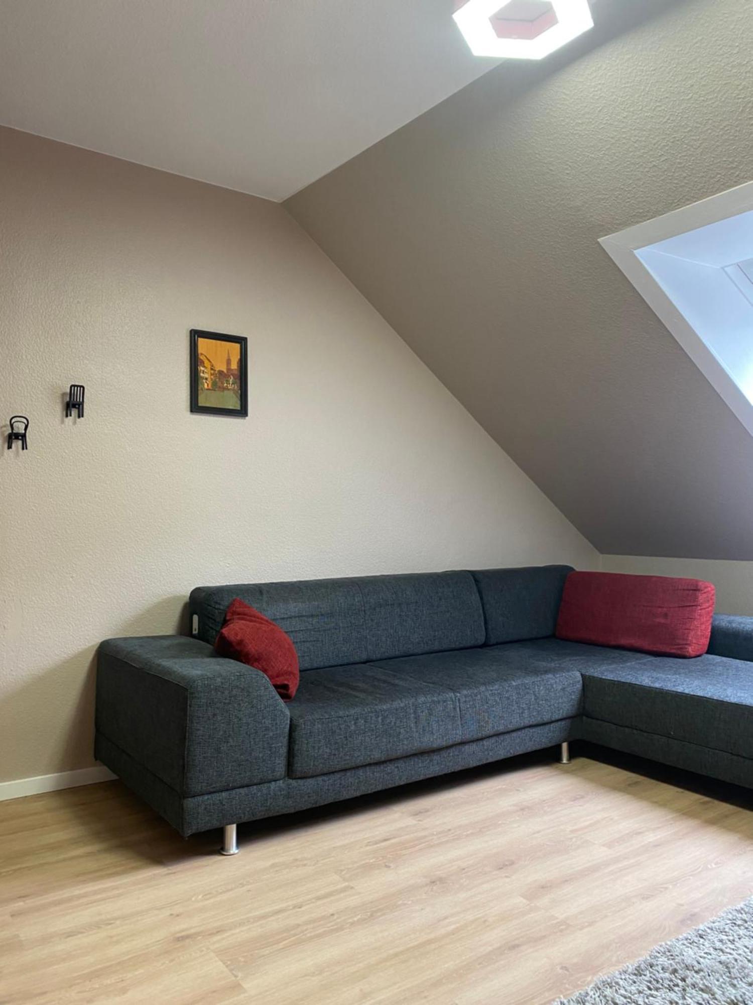 S-Villa Apartments Im Schwarzwald Schiltach Dış mekan fotoğraf