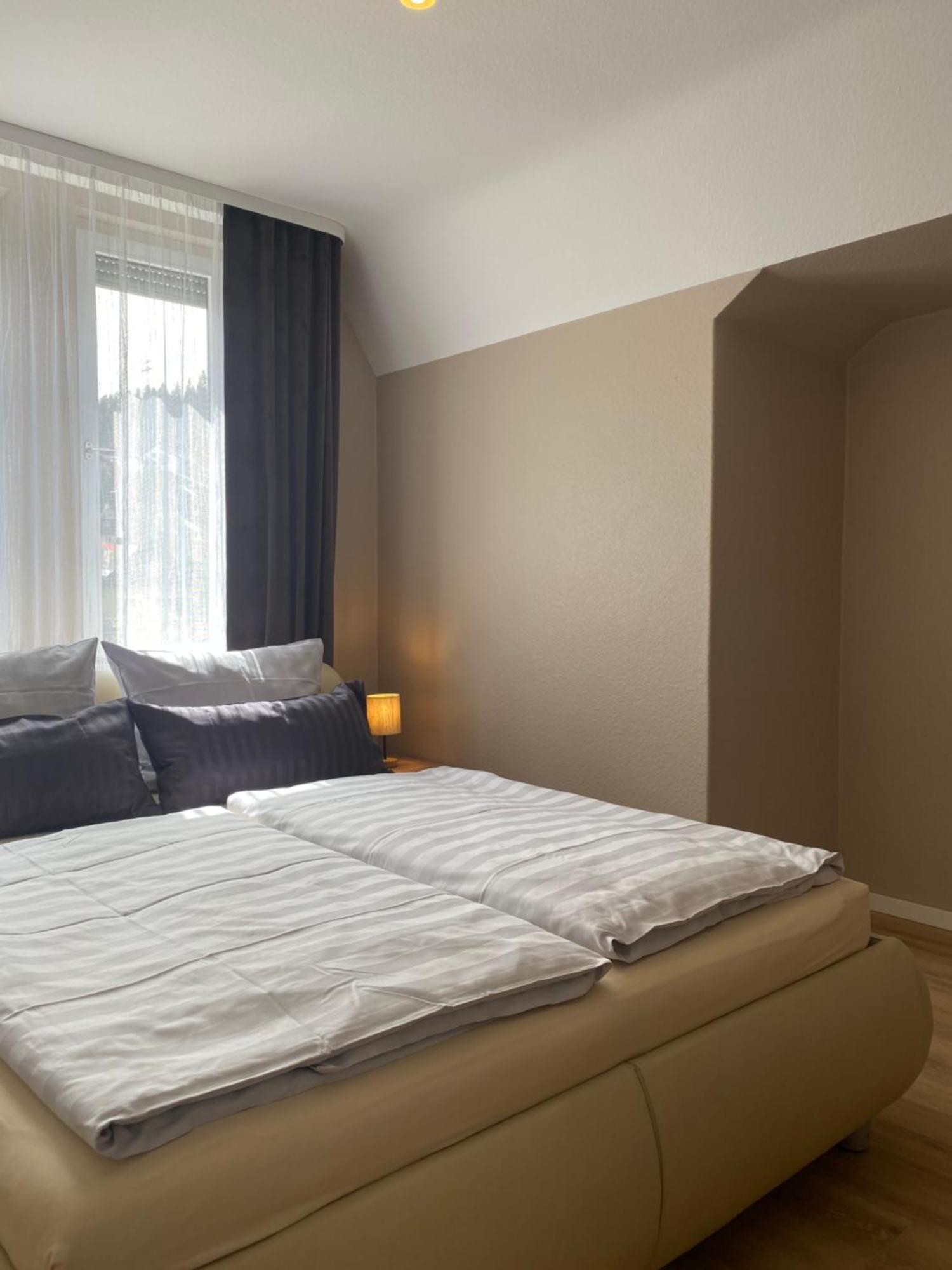 S-Villa Apartments Im Schwarzwald Schiltach Dış mekan fotoğraf