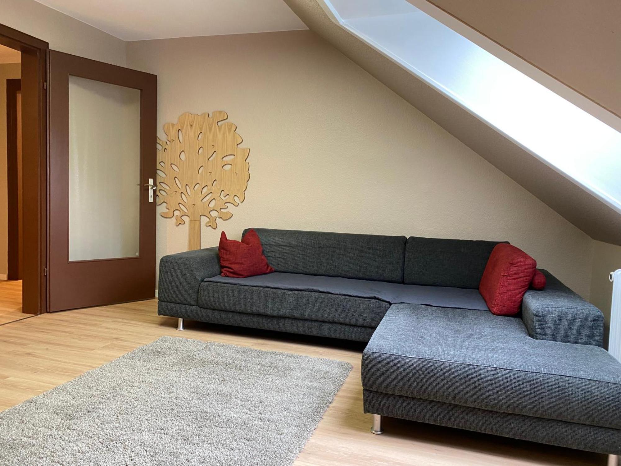 S-Villa Apartments Im Schwarzwald Schiltach Dış mekan fotoğraf