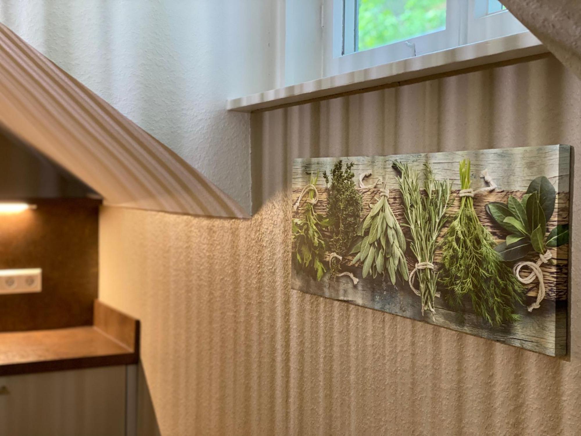 S-Villa Apartments Im Schwarzwald Schiltach Dış mekan fotoğraf